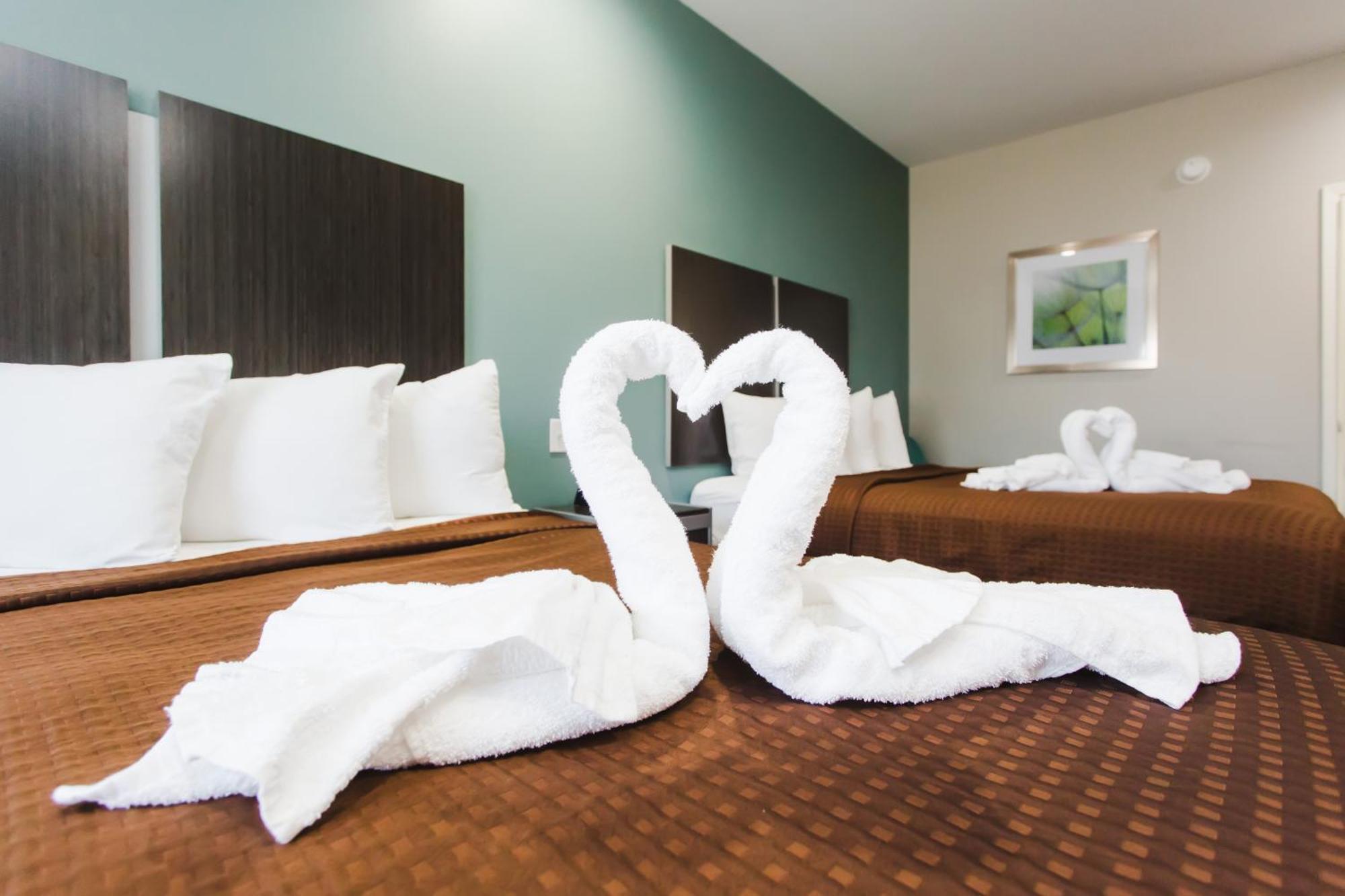 Express Inn - Spring Ngoại thất bức ảnh